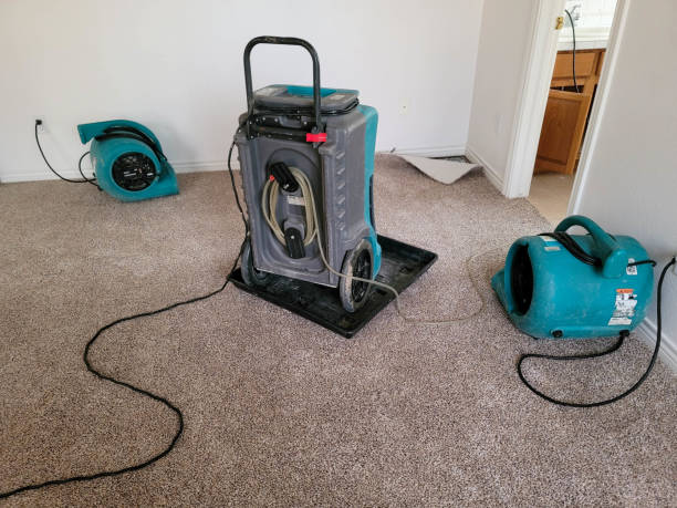 Best Water damage restoration near me  in Judson, SC