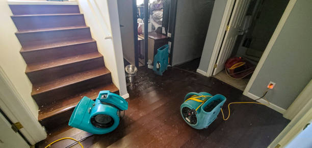 Best Basement water damage restoration  in Judson, SC