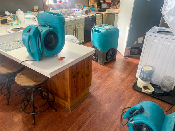 Best Water damage contractors near me  in Judson, SC