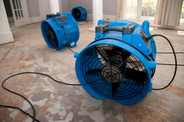 Best Water damage restoration near me  in Judson, SC