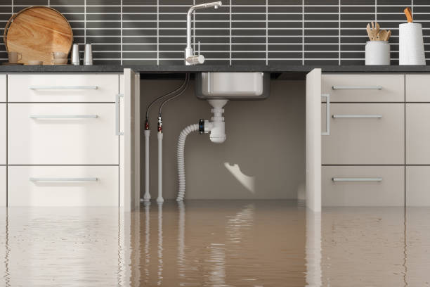 Best Residential water damage restoration  in Judson, SC