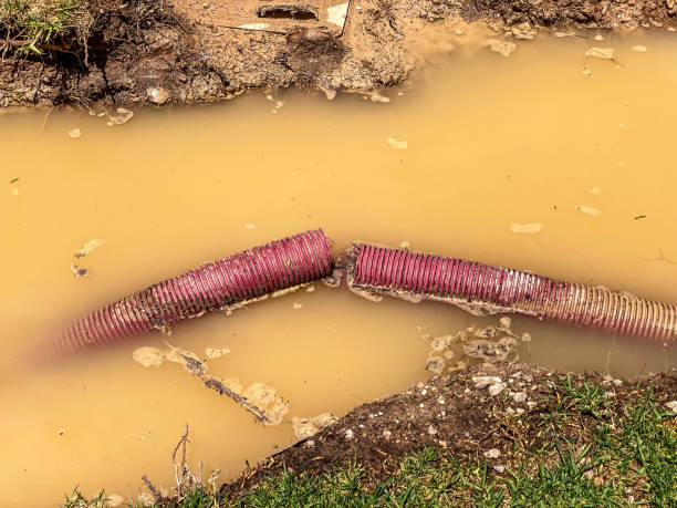 Best Flood restoration services  in Judson, SC